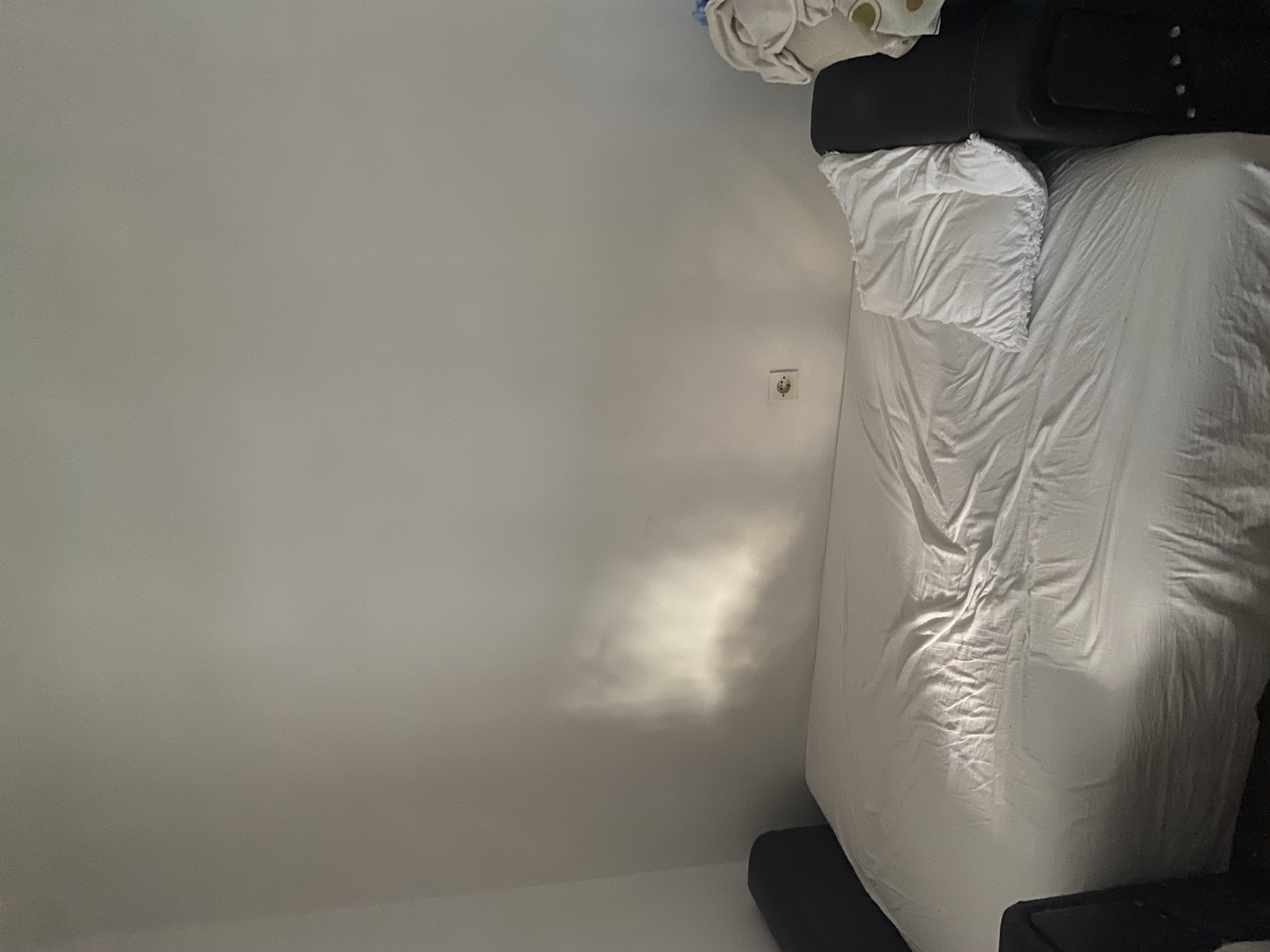 Ev arkadaşı arıyorum 